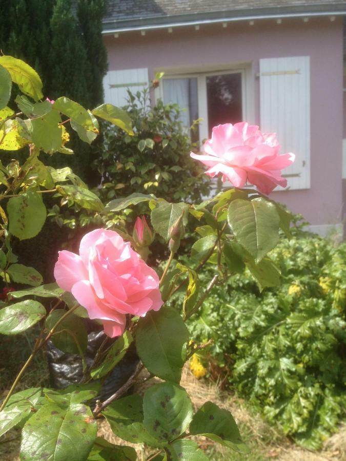 Bed and Breakfast Hon-Ty Groix Exterior foto